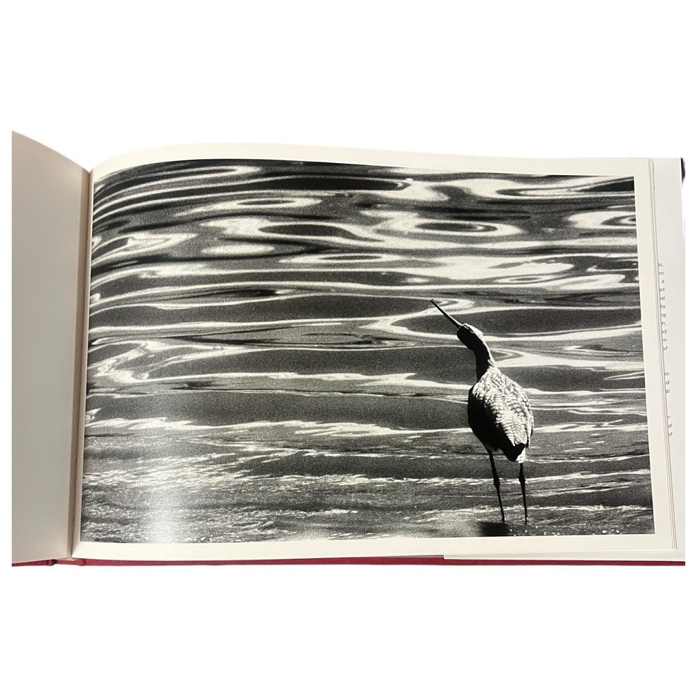 Wild Birds of the American Wetlands B&W Photo Coffee‎ Table Book Rosalie Winard - Picture 8 of 10